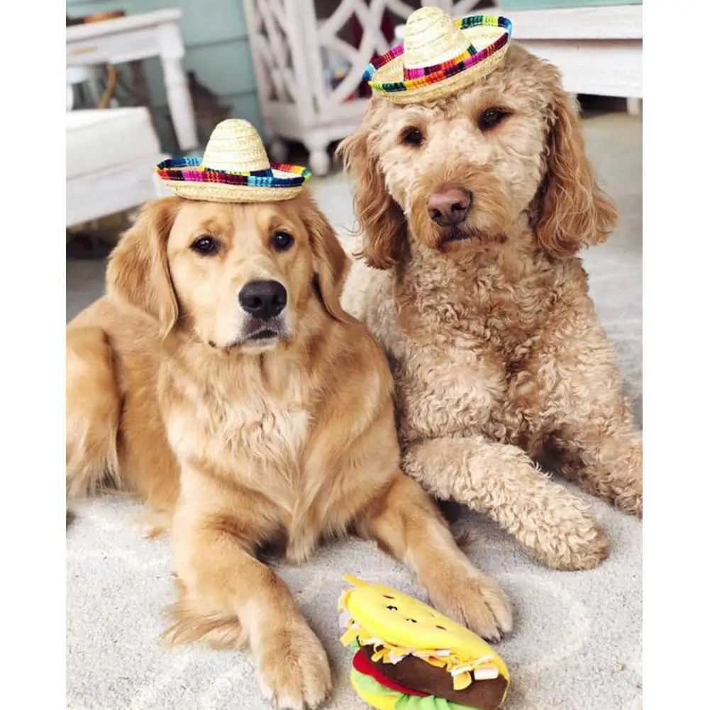 

GloryStar Pet Straw Hat Mexican Straw Hat