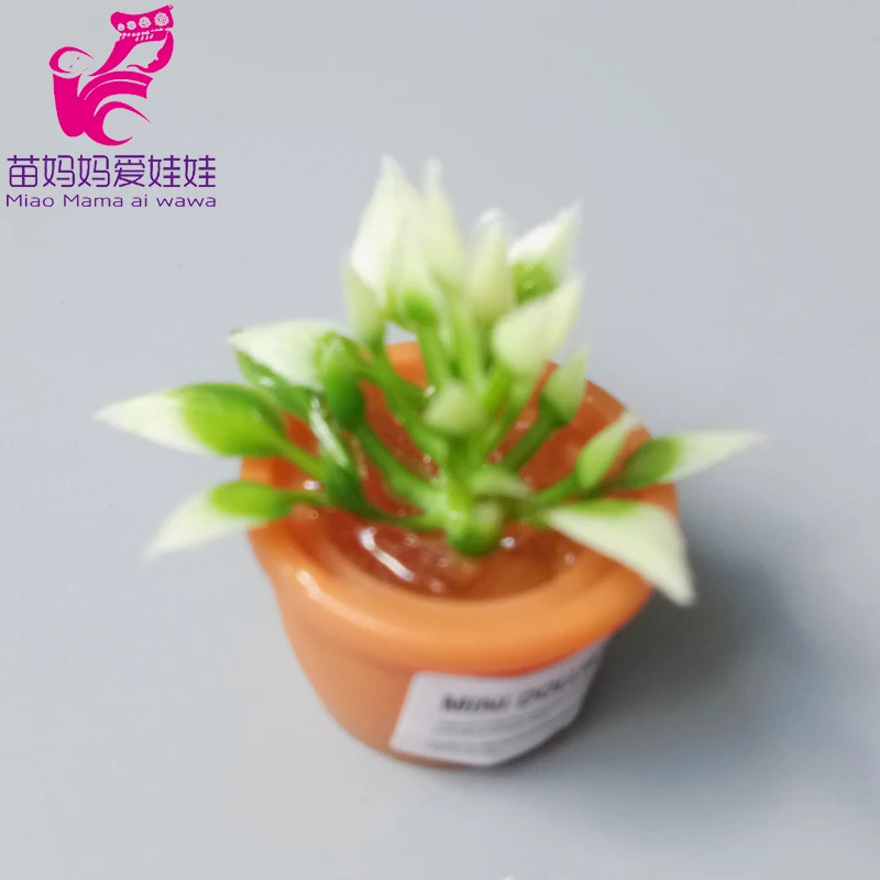 IMG_20200723_120210 拷贝