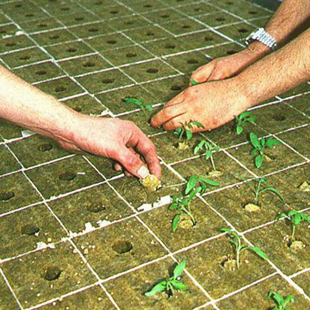 50 кубов лист Grodan Rockwool блок для клонирования выращивания семян гидропонного