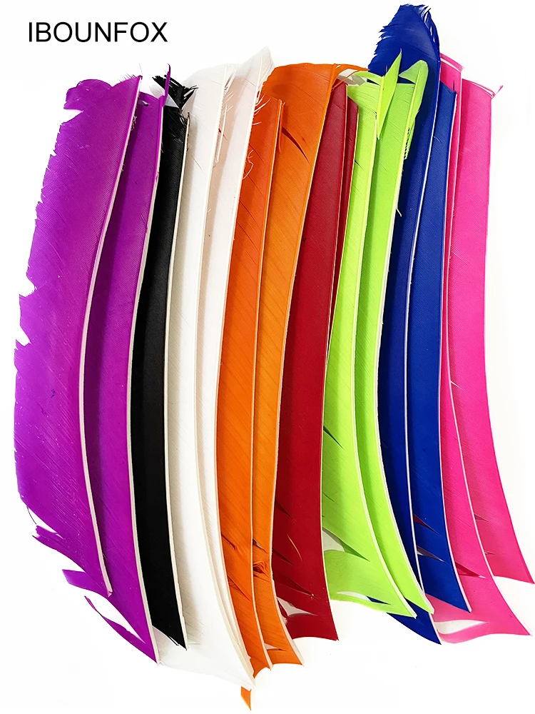 LW 50 Pcs Full Length (7-10 inch) Archery Fletches Natural Tureky Feathers Hunting Arrow Fletching for Bow DIY Accessories 3