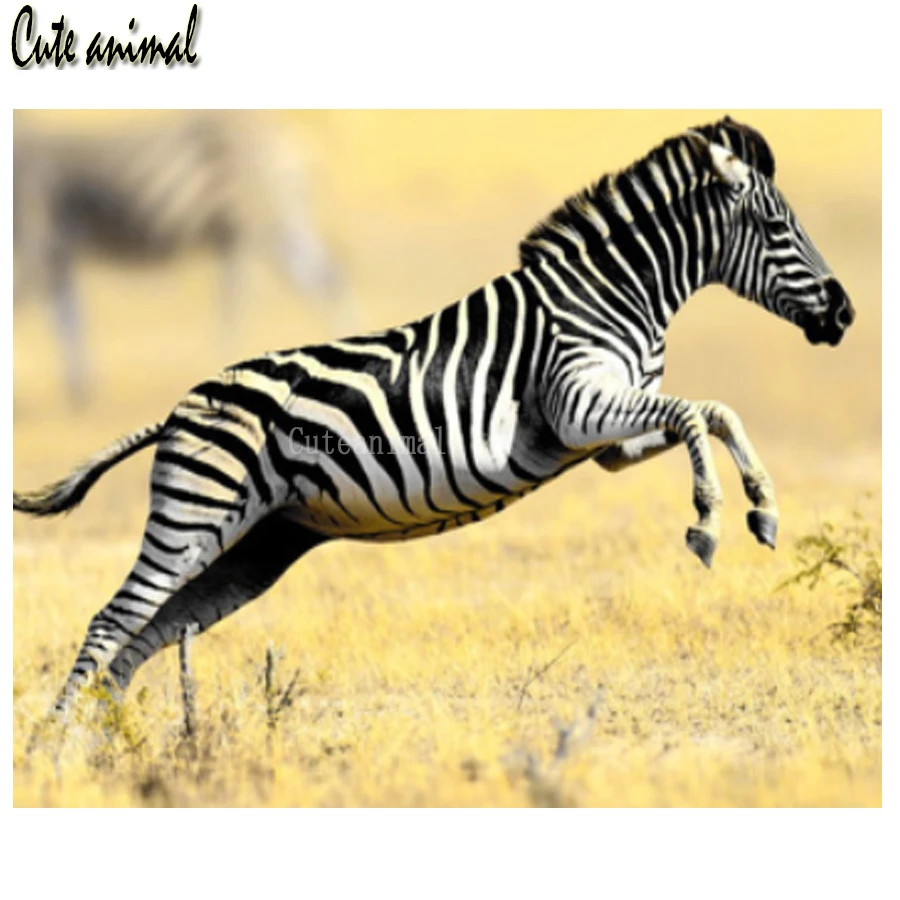 Зебра убегает. Зебра убегает. Зебра бежит. Зебра. Стая зебр.