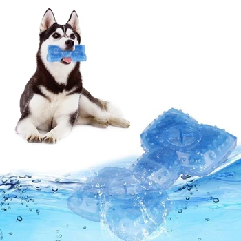 

Funny Bone Design Pet Freeze Frozen Chew Toy Fetch Traning Play Chew Toy