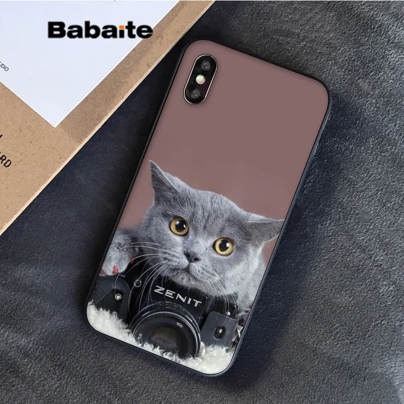 Babaite Британский короткошерстный Кот в продаже окрашенный мягкий чехол для телефона Apple iPhone 8 7 6S Plus X XS MAX 5 5S SE XR