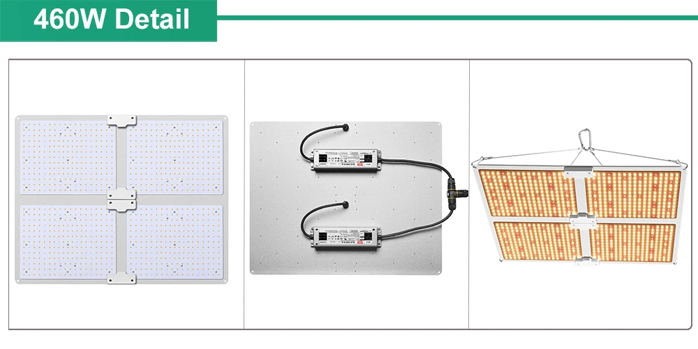 BEYLSION New Samsung Quantum LED Lamp Board Grow Lights Meanwell Driver 3000K DIY Led Grow Lamps For Indoor Plant Grow Tent (4)