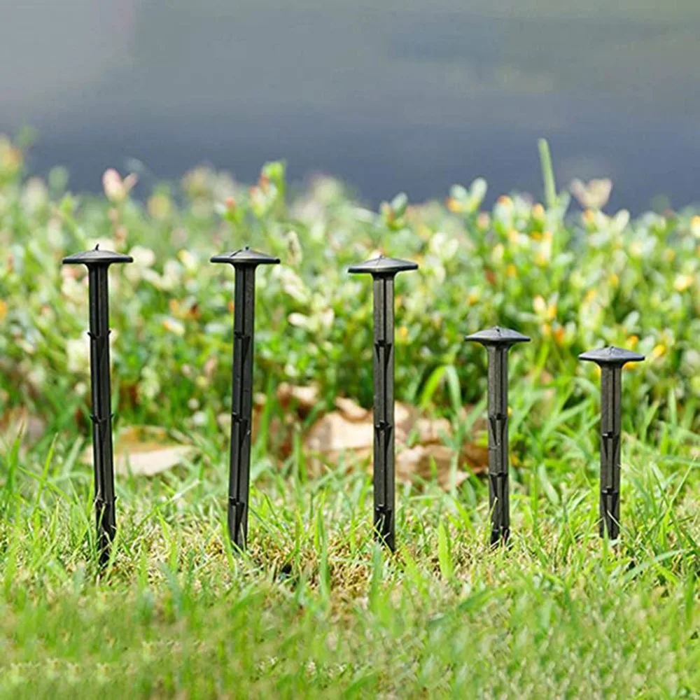 LFY200513208_0302102072628377553