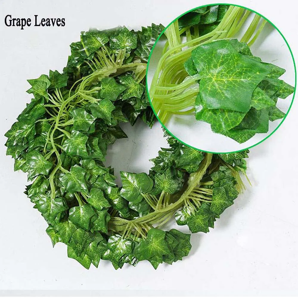 Grape Leaves 0012
