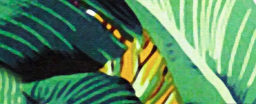 QQ截图20200331140424