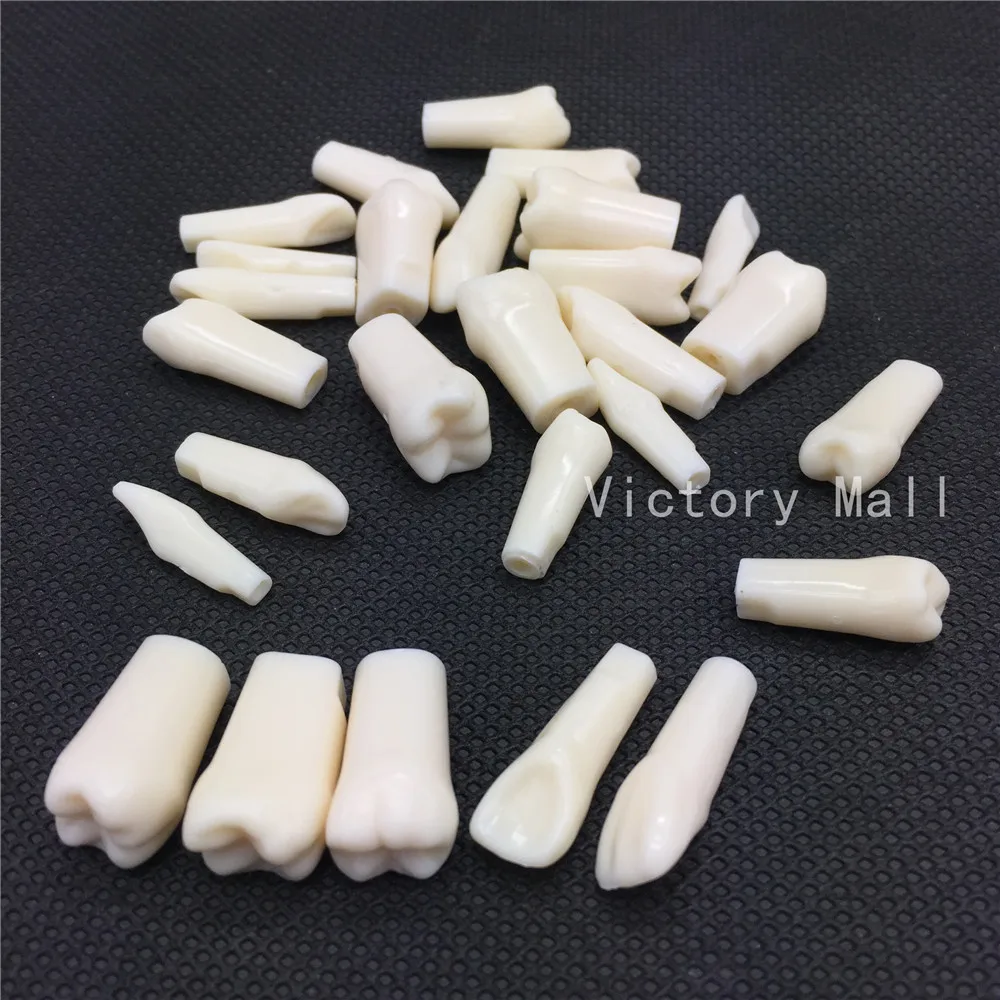 Съемные зубья для практики модель зубных гранул и винтов обучающая