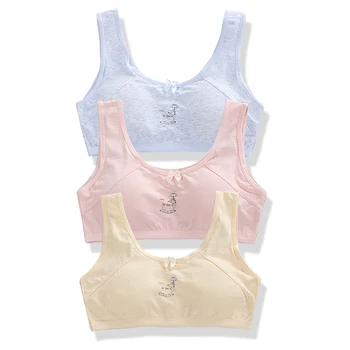 

teen bra girl Children's Vest Training Underwear teen Kids Teenage Young Sport 8-14Y Hipster Cartoon summer baby girls bras