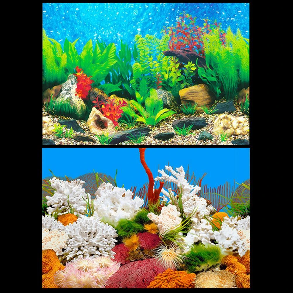 Meer dan wat dan ook Doctor in de filosofie Raap 3d stereo Aquarium Background Poster Ocean Self adhesive Fish Tank Backdrop  Sticker Decoration Aquarium Accessories Wholesale|Decorations| - AliExpress