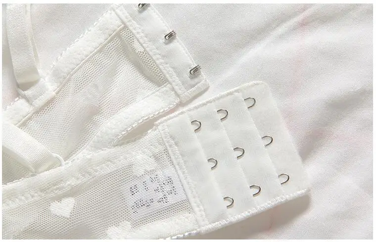 JSFS80 (4)