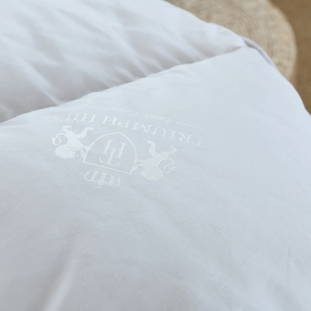 100% Duvet Autumn Winter 95 White Goose Down Quilt Five-star Hotel Warm Double Bed Single Down Quilt Core Size