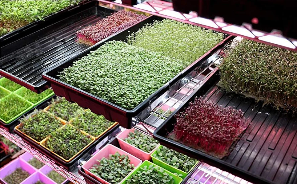 Ha3e8c3f038094dcf82f956cd375921bfu