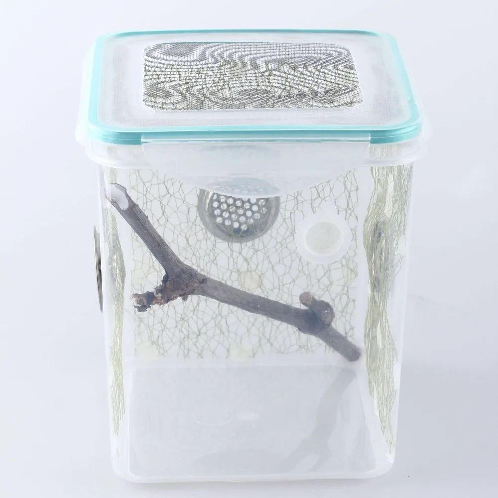 Пластиковая коробка для кубического mantis, бак для насекомых, клетка для кормления маленьких животных, рептилии, развлекательная среда для отдыха и контейнер для домашних животных