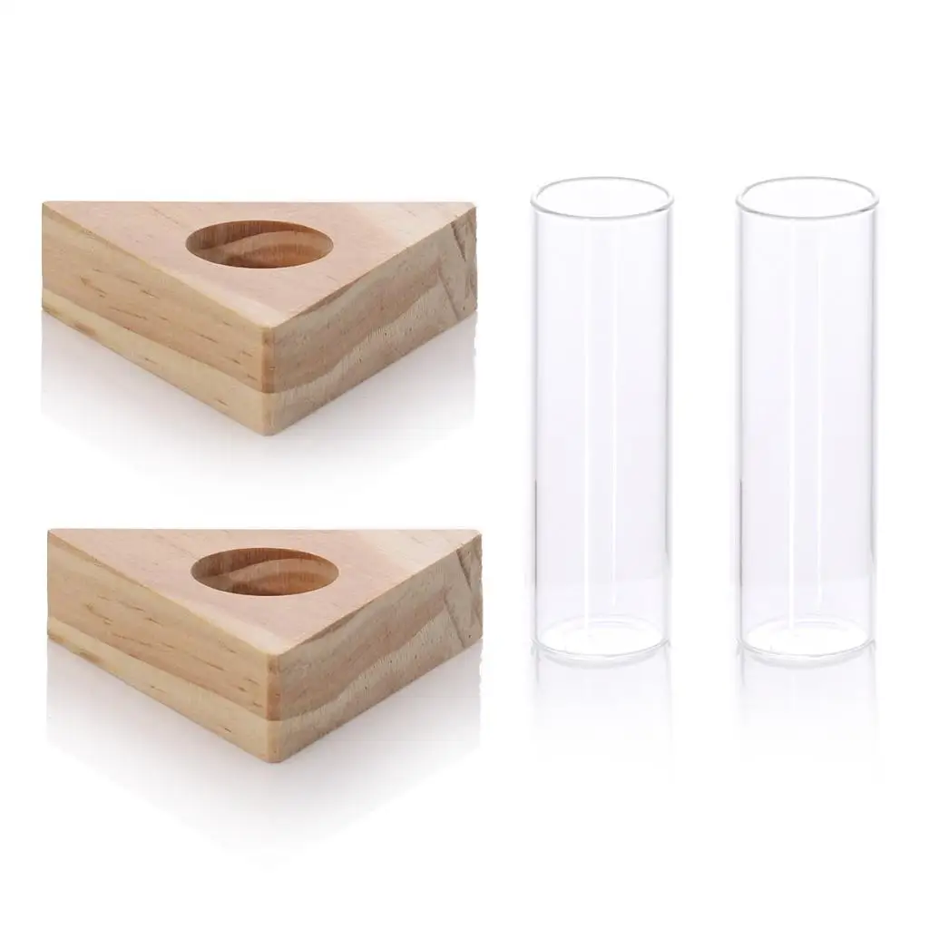 2pcs Planter Test Tube Flower Bud Vase Tabletop Glass Pots in Wooden Stand