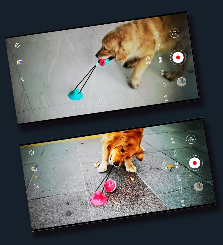 Игрушки для домашних собак Силиконовые Чашки Всасывания буксир собака игрушка собаки толкать шарик-игрушка для питомцев чистка зубов собака зубная щетка для щенков, крупных собак игрушка для кусания
