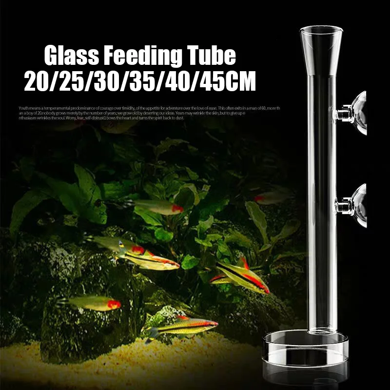 Transparent Glass Shrimp Feeding Tube Aquarium Shrimp Feeding Dish Feeder  Food Tray Fish Tank Aquarium Accessories with Bowl