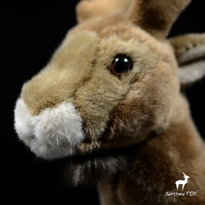 O1CN01SgVqH41DnZyZQfjwe_!!22080261