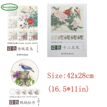 

big size line drawing technique books :coloring Parrot peony /Traditional flowers and birds/Twelve famous flowers book