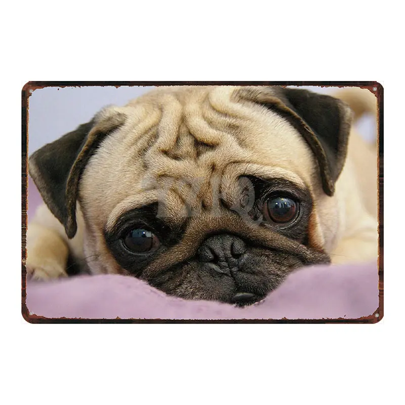 Милая собака Pet знак кофе Рождество доска Металл Винтаж для стены плакат Бар Кухня искусство домашний декор куадро DU-1996A - Цвет: DU-1996