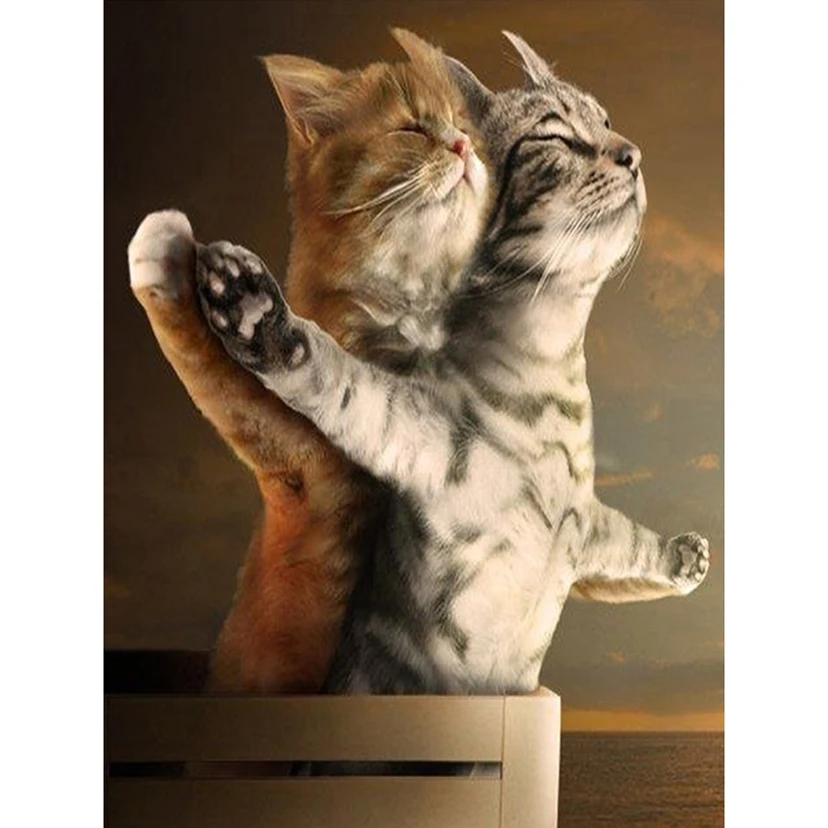 HTB1nbdAX.LrK1Rjy1zbq6AenFXa5