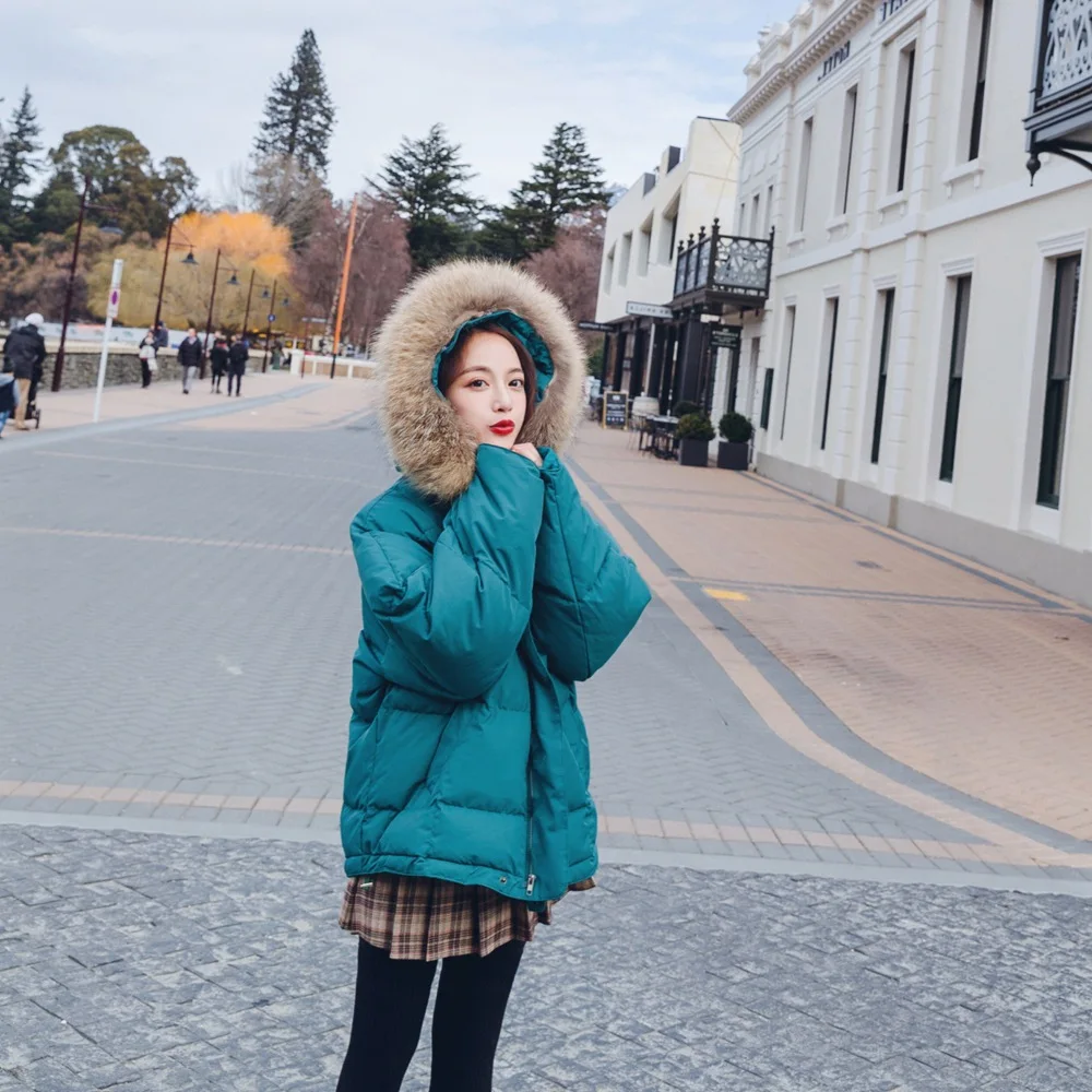 

2018 Winter New Style Korean-style WOMEN'S Wear-Style Retro CHIC Short down Cotton Coat Hooded Fur Collar Cotton-padded Clothes