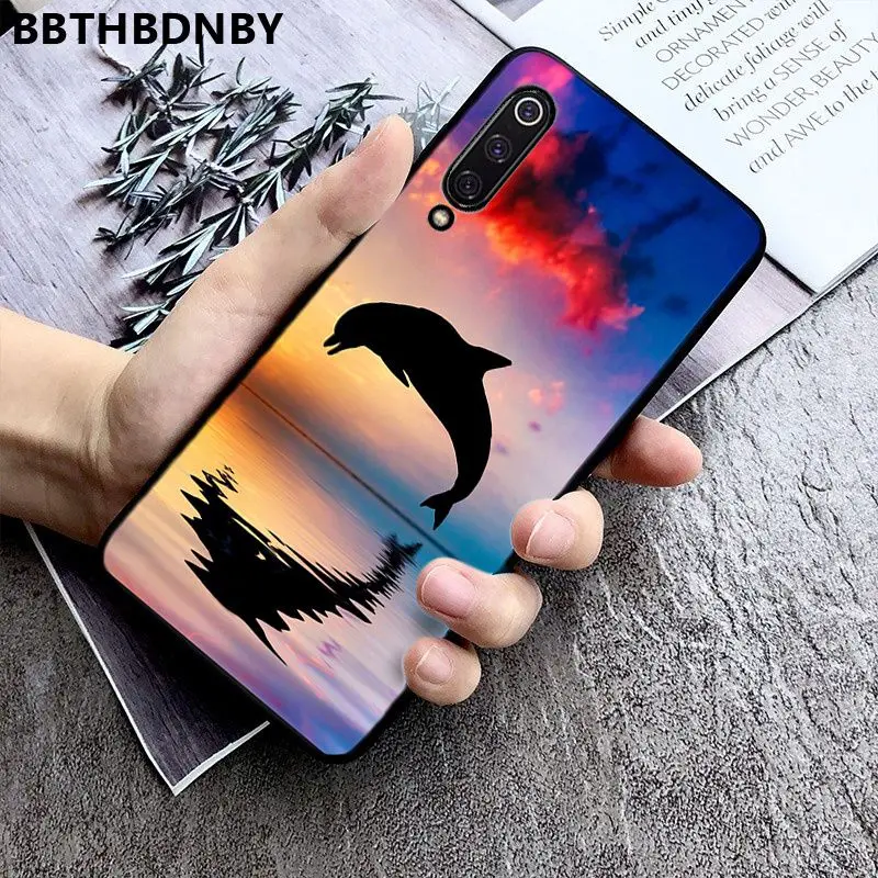 Dolphin