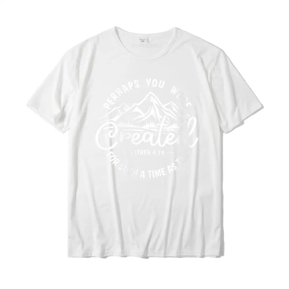 Gift All Cotton Tops & Tees for Men Design T-Shirt Normal Retro Round Neck Tops Shirts Short Sleeve Top Quality Womens Perhaps you were created for such a time as this Ester 4 14 V-Neck T-Shirt__36698 white