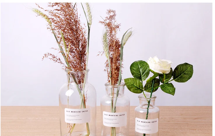 Скандинавские Инс ветер прозрачные стеклянные для реагентов стикер ваза гидропоники сушеный цветок небольшая ваза гостиной украшения ремесла