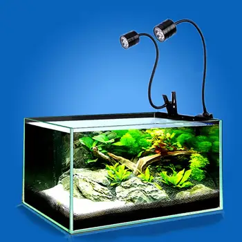 

GloryStar LED Aquarium Light, Fish Tank Light, Clip on Fish Tank Lighting