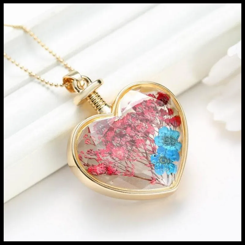 150N36 心形植物干花 13