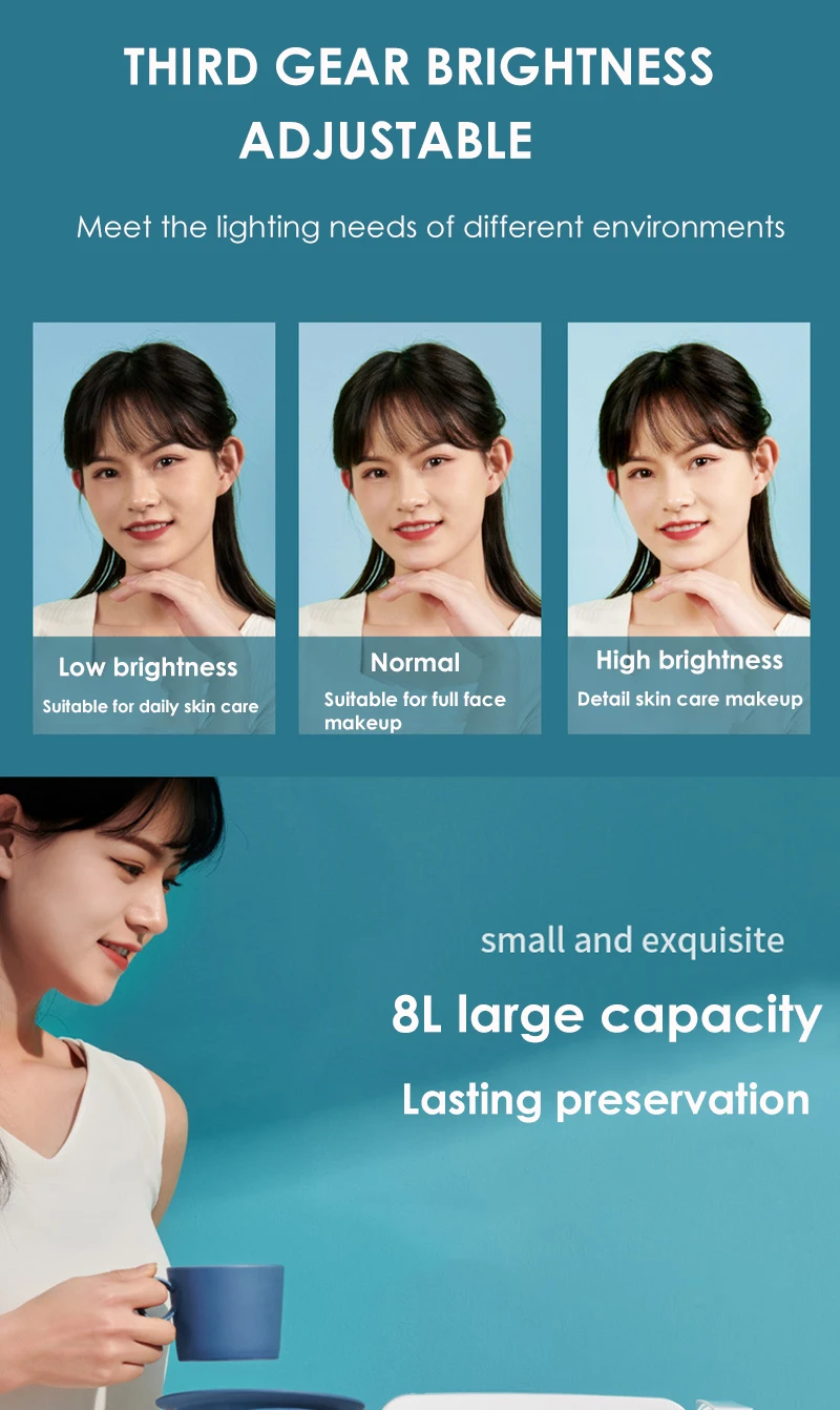 5L Mini Fridge Portable Storage Refrigerator With Led Light Mirror Cooler Home Car Use