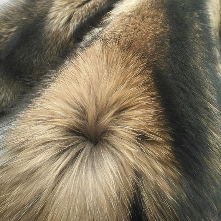Raccoon skin (4)