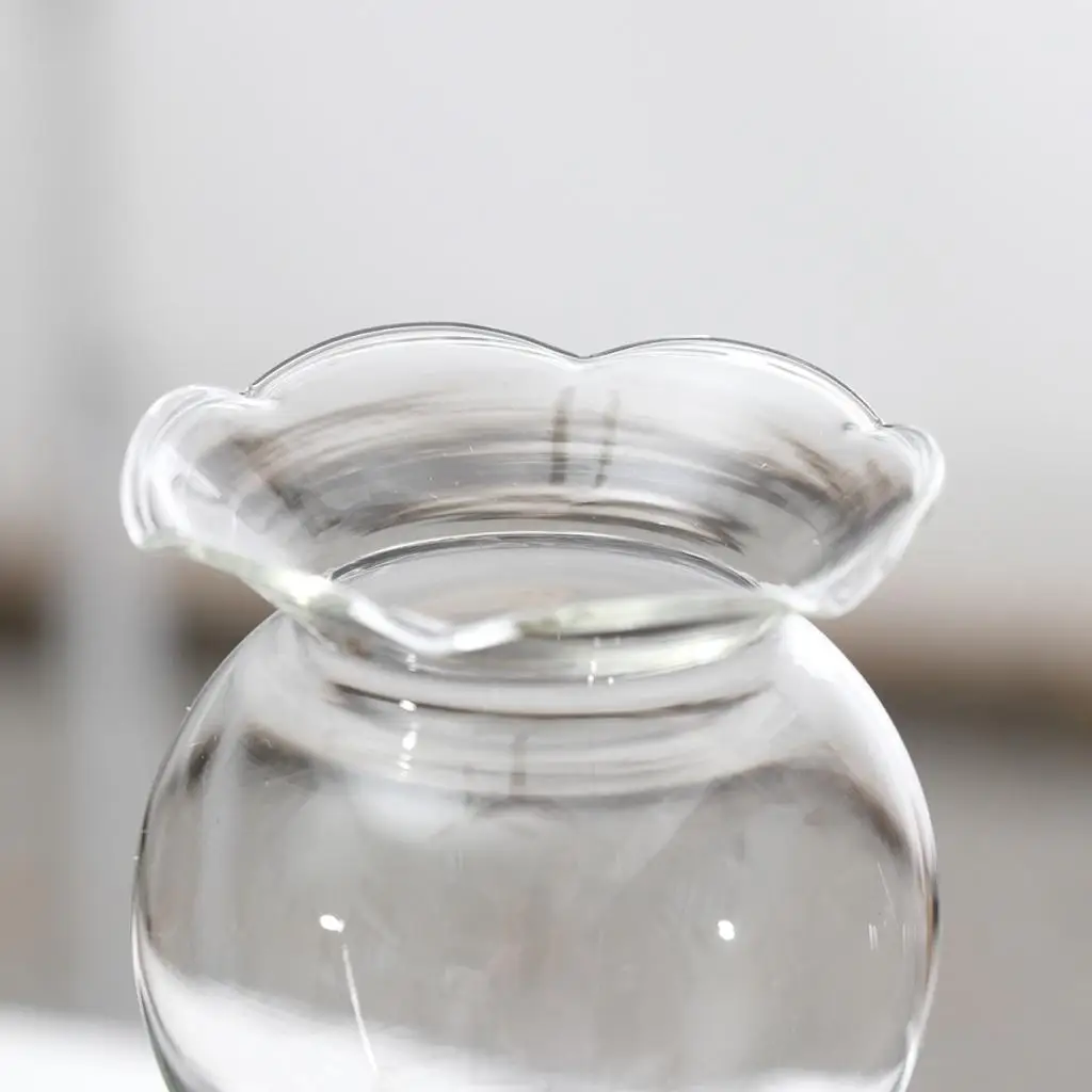 2pcs Self Watering Globe Plant Water Bulb Hand Blown Clear Glass Ball Automatic Waterer Automatic Watering Globes PVC Bulbs Ball
