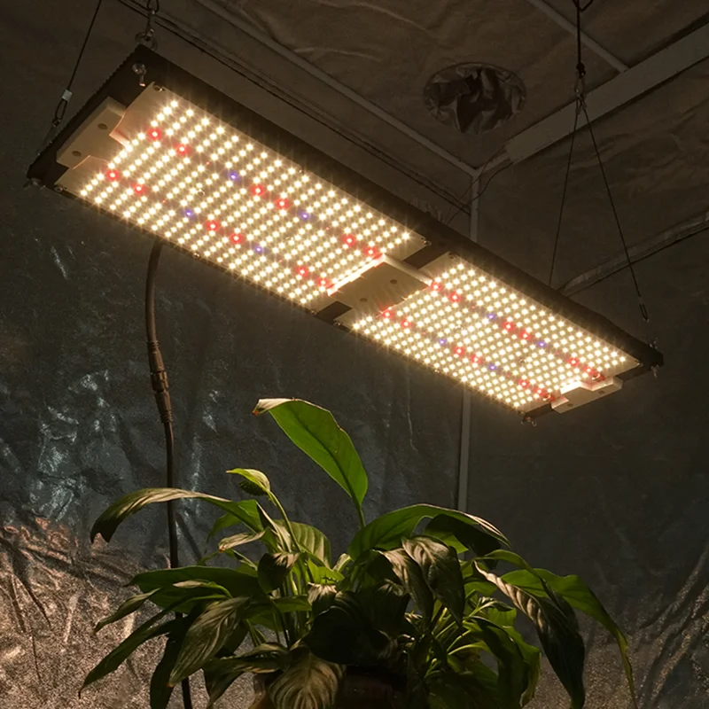 Kingbright 240W Quantum LED Grow Light Samsung LM301H Board+CREE 660nm