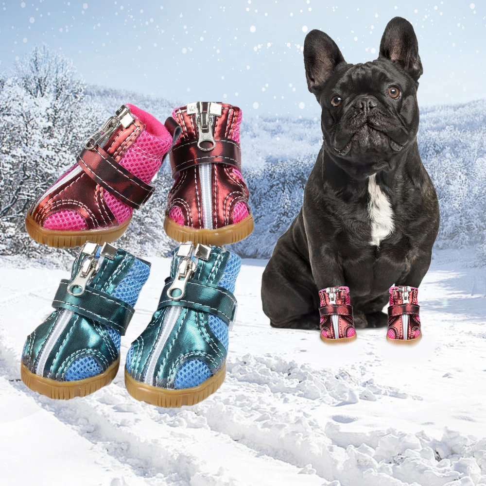 dog boots in store