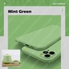 Mint Green Color