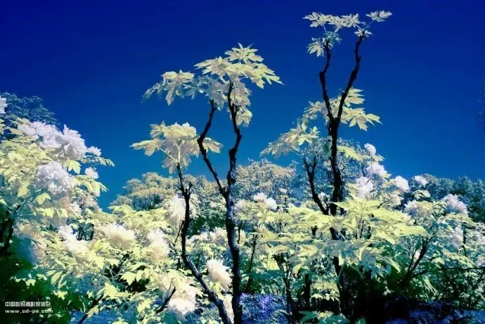 TB2FhrksFXXXXbhXpXXXXXXXXXX_!!849699166