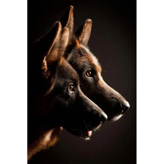 H8cc05a4c0a934fcdbc0d5298051cc9c3X