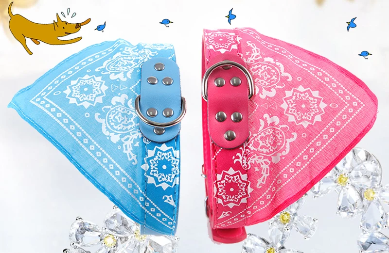 Ошейник для собак, поводок для собак, товары для животных, coleira szelki dla psa smycz collier chien correa perros, большой щенок, obroza