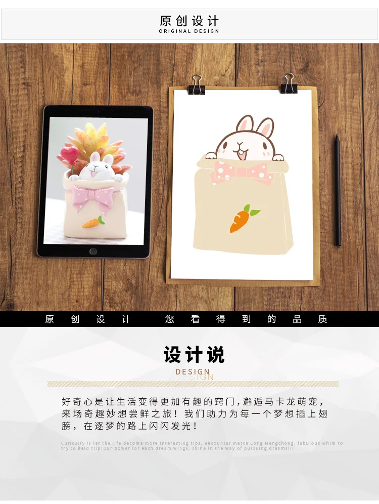 Creative Resin Succulent Plant Pots Mini Flower Pot Decorative Desktop Flowerpot Fairy Garden Home Garden Decoration (13)