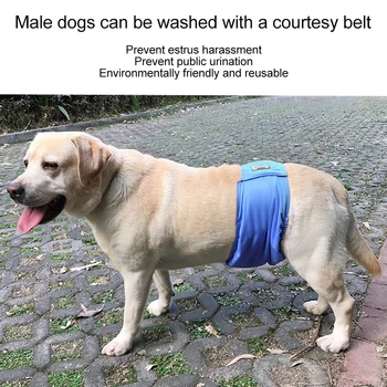 

Male Dog Physiological Belt Anti-harassment Dog Diaper Belly Protector Teddy Gold Waterproof Bottom Underwear Pet Hygiene Pants