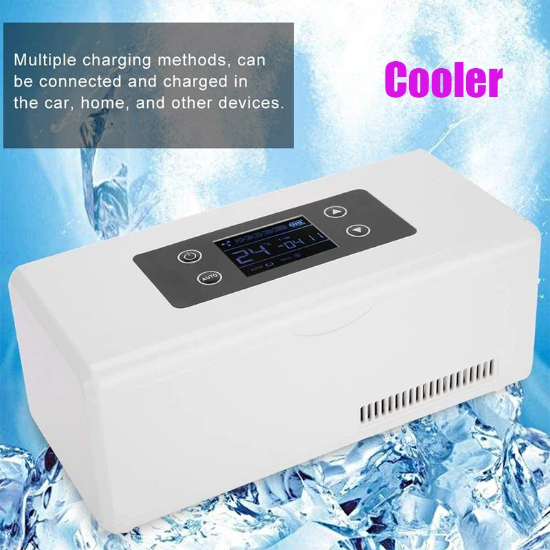Refrigerador portátil para viaje, caja de congelación, Mini refrigerador de  insulina, caja aislada, Reefer Car, temperatura constante, 2-8 ℃,  organizador de almacenamiento - AliExpress