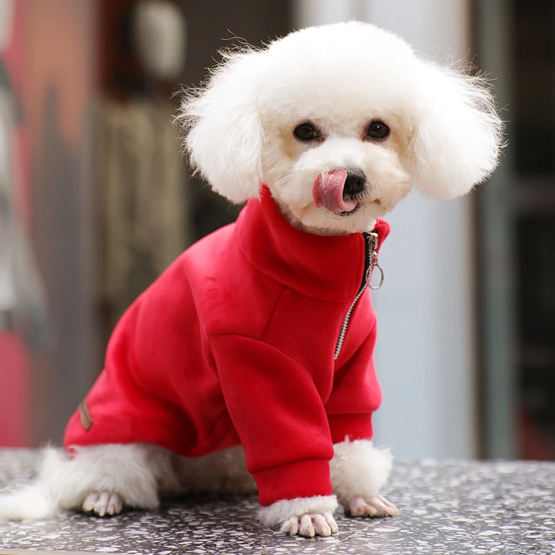 Ropa con capucha para perros y gatos, chaqueta con cremallera para perros pequeños, cachorros gatos, abrigo cálido de moda, sudadera, trajes para mascotas, XL, Invierno|Abrigos y chaquetas para