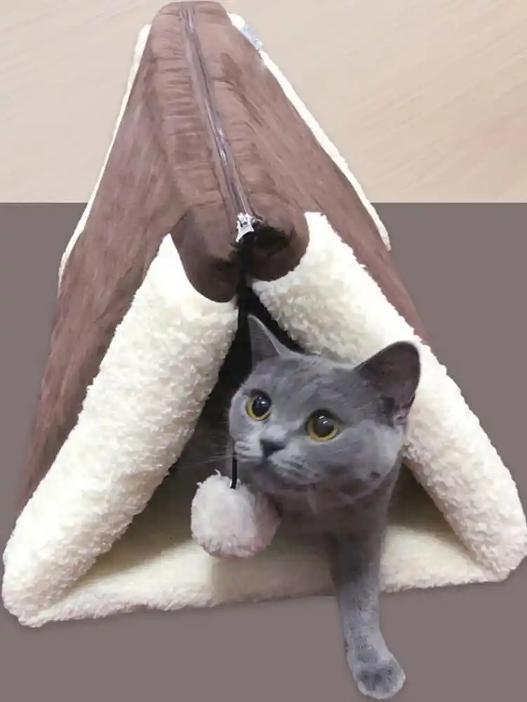 cheap kitten beds