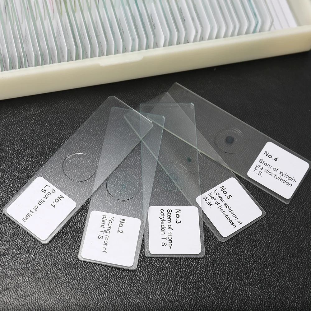 Jiusion 25Pcs Prepared Microscope Slides Set with Fitted Wooden Case Stereo Microscope Slide for Basic Biological Science Education Animals Insects Plants Flowers Sample Biological Specimen Jiusion 25Pcs Prepared Microscope Slides Set with Fitted Wooden Case Stereo Microscope Slide for Basic Biological Science Education Animals Insects Plants Flowers Sample Biological Specimen
