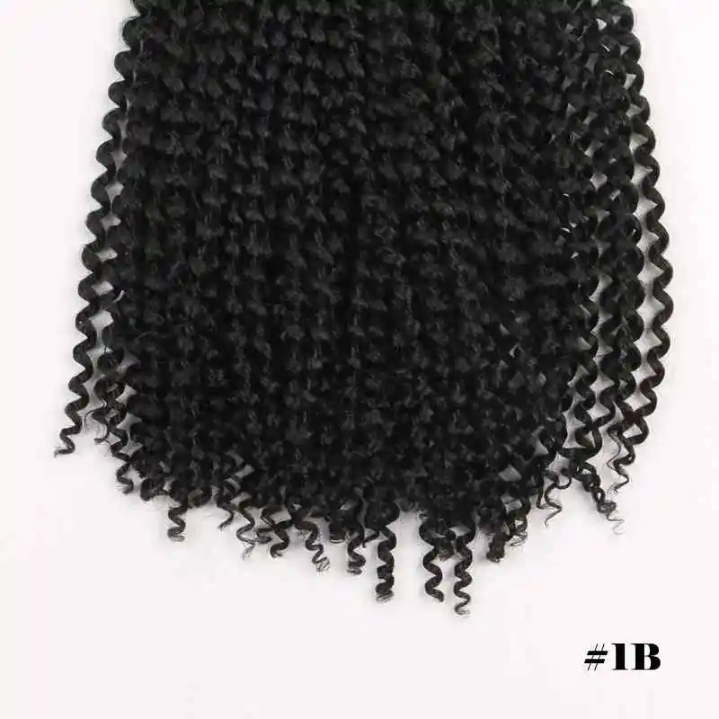 passion twist11