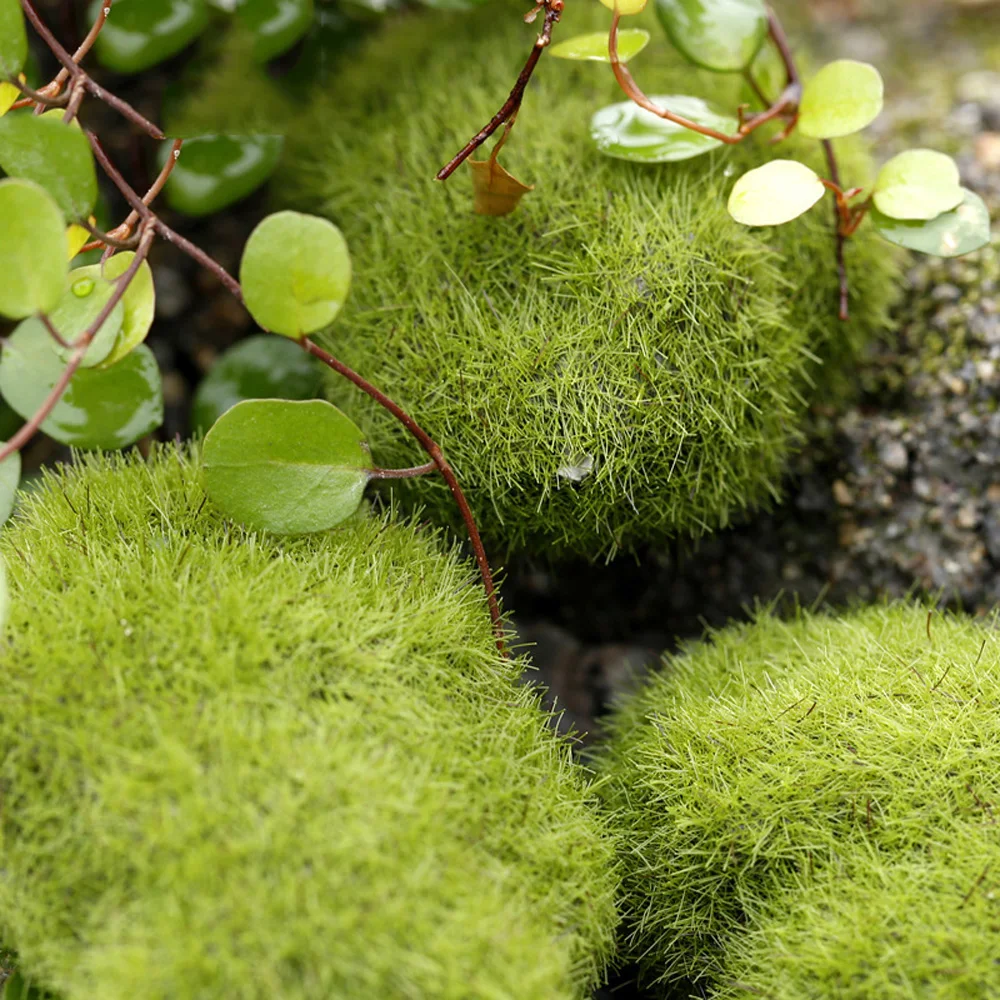 8a9ae1c16ea56f3a016ea745f19e0b30