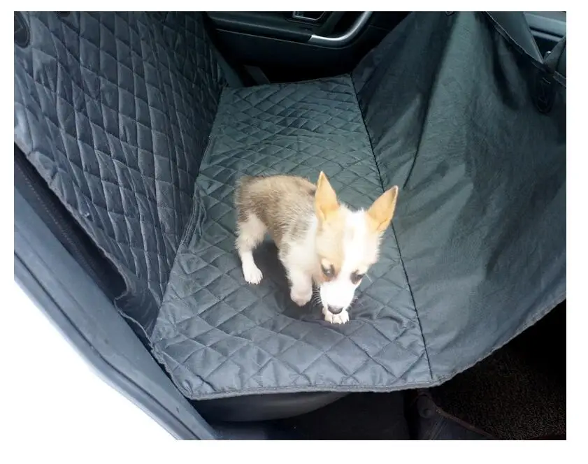 QQ截图20200916090422