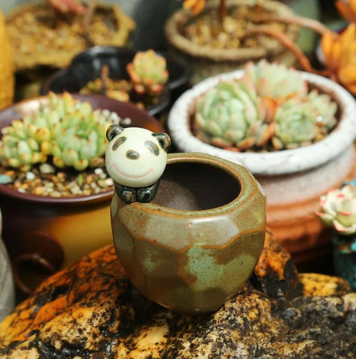 

Succulent Plant Pot Cute Animal Flower Planter Flowerpot Lovely Little Animals Home Garden Bonsai Pots